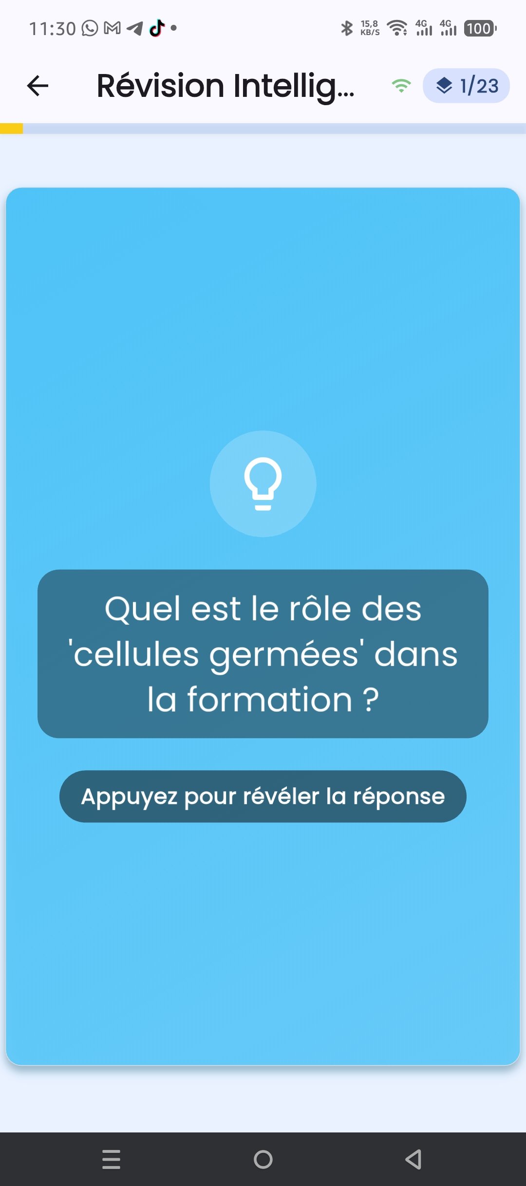 Réviser avec des fiches de révision